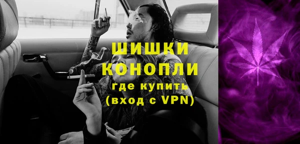 молекула духа Заволжье