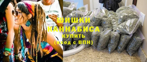 молекула духа Заволжье