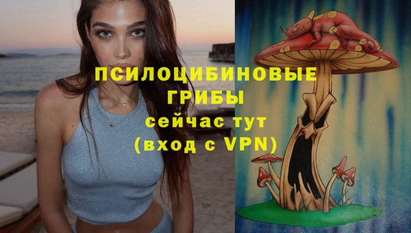 героин Заводоуковск
