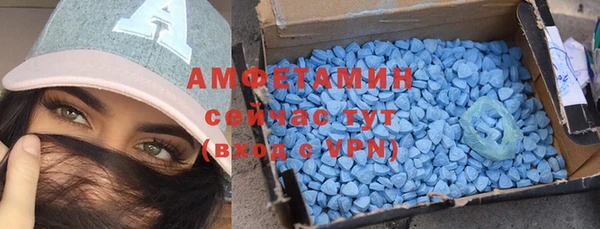 молекула духа Заволжье
