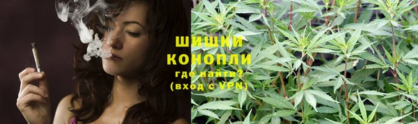 молекула духа Заволжье