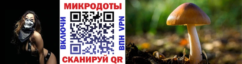 Галлюциногенные грибы GOLDEN TEACHER  Купить где  Артёмовск 